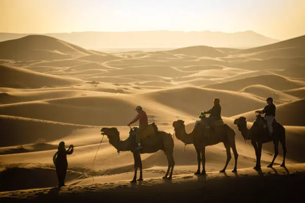 Stock image tourist camel caravan on Erg Chebbi, Merzouga, Taffilalet, Morocco, Africa