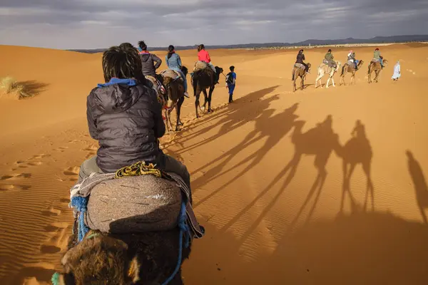 stock image tourist camel caravan on Erg Chebbi, Merzouga, Taffilalet, Morocco, Africa