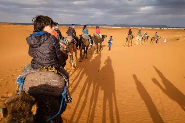 stock image tourist camel caravan on Erg Chebbi, Merzouga, Taffilalet, Morocco, Africa