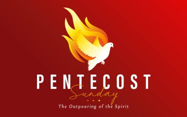 Pentekost Pazarı - Ruhun Sönüşü, alevlere daldı. Kutsal Ruh güvercin ve ateş, tapınma ya da davet için tasarlandı. Vektör illüstrasyonu
