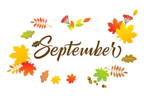 Poster Jaringan September Tipografi Yang Indah Dan Daun Berwarna Musim - Stok Vektor
