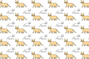 Düz Kedi Hayvan Deseni Arkaplanı