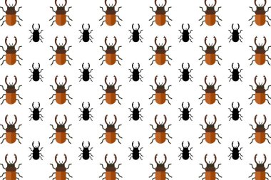 Düz Chalcosoma Böcek Deseni Arkaplanı