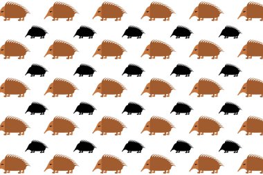 Düz Echidna memeli hayvan desenli arkaplan