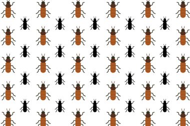 Düz Hamamböceği Deseni Arkaplanı