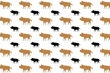 Düz Yaban Domuzu Kalıbı Arkaplan