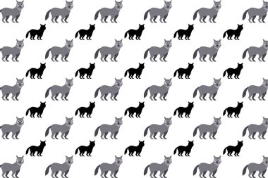 Düz Kurt Hayvan Deseni Arkaplanı