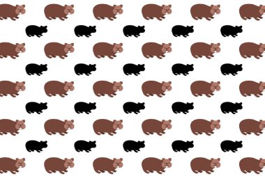 Düz Wombat Hayvan Deseni Arkaplanı