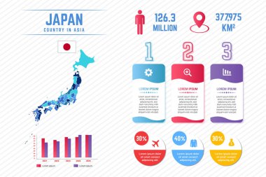 Renkli Japonya Bilgi Şablonu Haritası