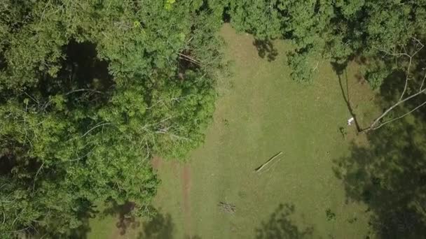 Yemyeşil Orman Yağmur Ormanı Tepe Örtüsü Üzerinde Tepeden Aşağı Manzara — Stok video