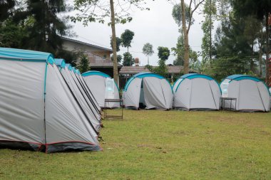 Nehir kenarında kamp ve çadır. Panoramik manzara. Ağaçları ve yeşil otları olan doğal alan. Kamp çadırı. Kamp alanı