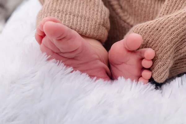 Kaki Bayi Yang Baru Lahir Dekat Dengan Kaki Bayi Perempuan Stok Foto