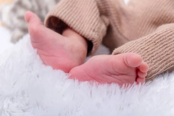 Kaki Bayi Yang Baru Lahir Dekat Dengan Kaki Bayi Perempuan Stok Gambar