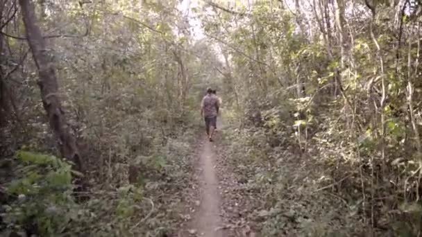 两个年轻人正在丛林中央探索一条小路 丛林里野生探险的概念 — 图库视频影像