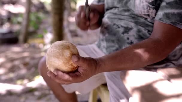 Dorosły Hiszpan Tradycyjnie Otwiera Kokos Nożem Dżungli Pojęcie Autentycznego Rodzimego — Wideo stockowe