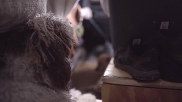 Minibüs Şoförünün Arkasında Bir Köpeği Mutlu Bir Şekilde Esniyor Yolculuk — Stok video