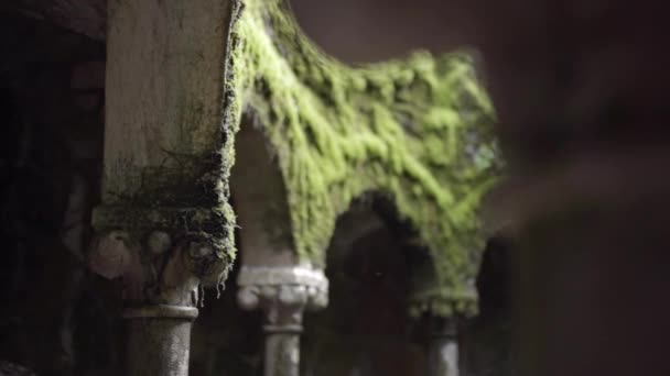 Ókori Oszlopok Íjászok Mohával Borítva Quinta Regaleirában Portugáliában Utazás Fogalma — Stock videók