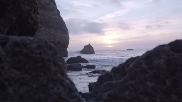 Una Gaviota Descansa Sobre Una Roca Durante Puesta Del Sol — Vídeos de Stock