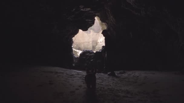 Homme Sort Une Grotte Plage Suivi Son Petit Chien Concept — Video