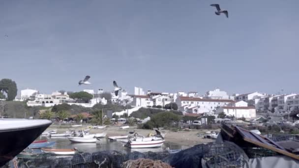 背後に町がある港を飛んでいくカモメがたくさんいます ポルトガル観光の概念 — ストック動画