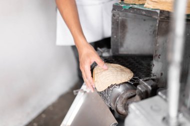 A young man is picking up a fresh corn tortilla from the gas stove conveyor belt. Concept of traditional corn tortillas preparation