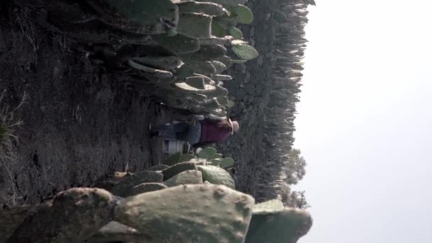 Woman Farmer Carrying Two Buckets Filled Nopales Harvest Concept Mexican — Vídeo de stock