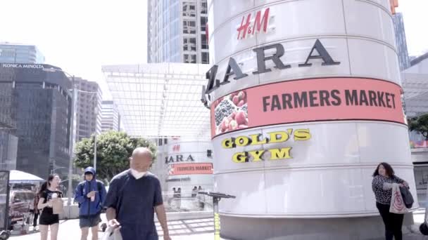 Mall Entrance Hym Zara Farmers Market Golds Gym Business Downtown — Wideo stockowe