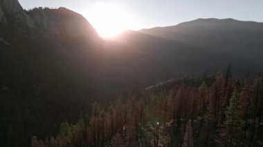 Sequoia Ulusal Parkı, Kaliforniya 'daki Sekoya Ormanı' nda gün doğumunun insansız hava aracı görüntüsü. Doğal Koruma Parkı kavramı