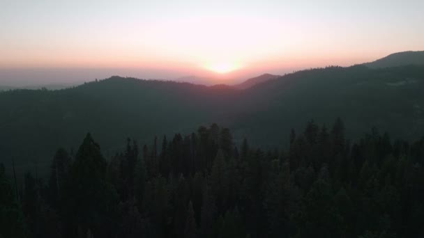 カリフォルニア州セコイア国立公園の巨大な森の中の夕日の空中ドローンビュー 自然保護公園の概念 — ストック動画