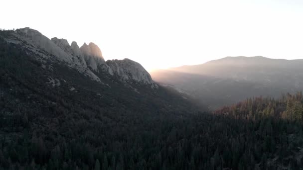 カリフォルニア州セコイア国立公園のレッドウッドの森の日の出光ビームの空中ドローンビュー 自然保護公園の概念 — ストック動画