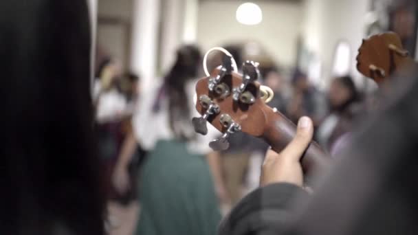 Мексиканский Музыкант Мужчина Играет Джарана Гитаре Парой Танцующих Заднем Плане — стоковое видео