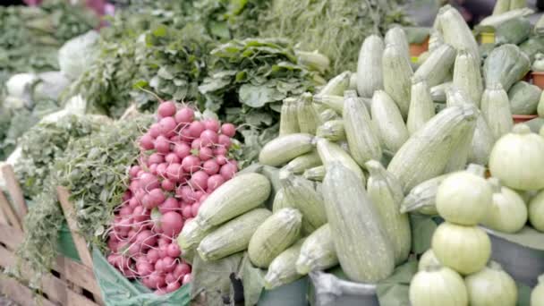 Stánku Mexickém Trhu Vystavuje Spousta Zelené Zeleniny Koncept Krásné Distribuce — Stock video