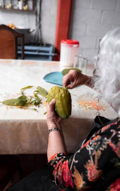 A senior mexican woman is peeling a fresh cooked chayote for a snack on a table. Concept of mexican traditional cooking