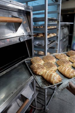 Genç bir İspanyol fırıncı fırından taze pişmiş tatlı ekmeklerle dolu bir tepsi çekiyor. Geleneksel Meksika tatlı ekmek sanatı kavramı