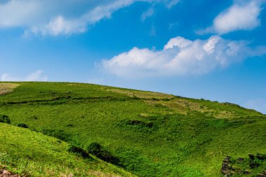 Chikmagalur, Hindistan 'ın güzel yeşil çim tepeleri