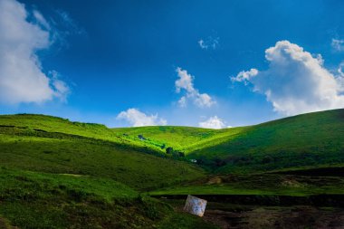 Güneşli bir günde yeşil çayır tarlası, Chikmagalur 'un güzel yuvarlanan tepeleri..