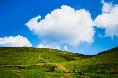 Güneşli bir günde, mavi gökyüzünde kabarık bulut formasyonuyla yuvarlanan güzel yeşil çimen tepeleri..