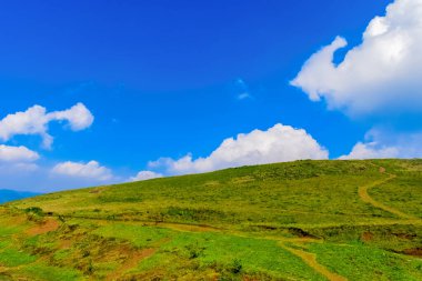 Güneşli bir günde, mavi gökyüzünde kabarık bulut formasyonuyla yuvarlanan güzel yeşil çimen tepeleri..