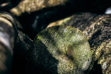 Eski ahşap uçlu tahıl yapısı.