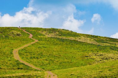 Chikmagalur, Karnataka 'nın güzel çim tepelerinden geçen çamurlu dolambaçlı bir yol..