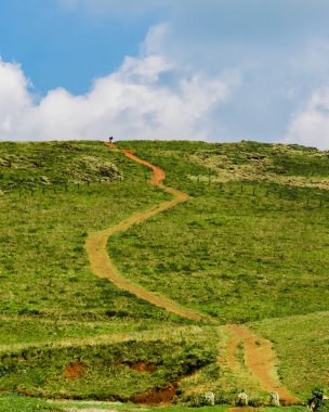 Chikmagalur, Karnataka 'nın güzel çim tepelerinden geçen çamurlu dolambaçlı bir yol..