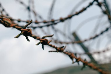 Seçici odaklı dikenli telli güvenlik çiti..