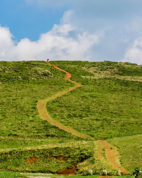 Chikmagalur, Karnataka 'nın güzel çim tepelerinden geçen çamurlu dolambaçlı bir yol..