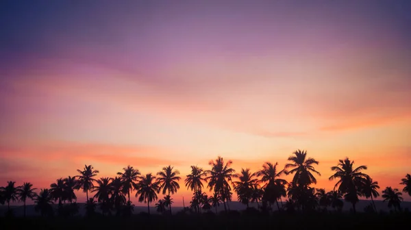 Силуети Пальмових Дерев Небі Під Час Тропічного Заходу Сонця — стокове фото