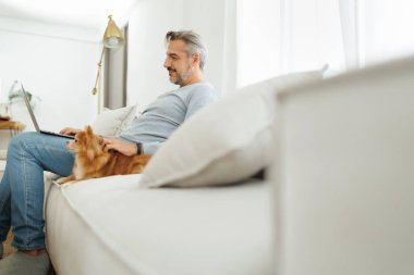 Yetişkin bir adam kanepeye oturmuş Chihuahua köpeğiyle dizüstü bilgisayarda çalışıyor. Orta yaşlı erkek. Evde evcil hayvanla rahatlıyor..