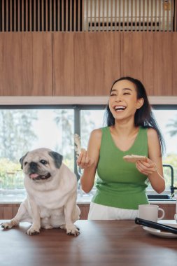Kahkahalar atan yeşil kolsuz bluzlu genç Asyalı kadın mutfak tezgahında köpeğiyle kahvaltı sırasında neşeli bir anı paylaşıyor..