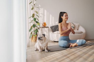 Odaklanmış genç Asyalı kadın, yumuşak sabah ışıklarıyla dolu, parlak, havadar bir yaşam alanında sadık köpeğiyle birlikte meditasyon yapan yoga pozundan hoşlanıyor.