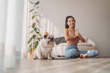Oturmuş yoga yapan gülümseyen genç Asyalı kadın rahat bir köpek ile rahat bir ev ortamında güneş ışığının tadını çıkarıyor.