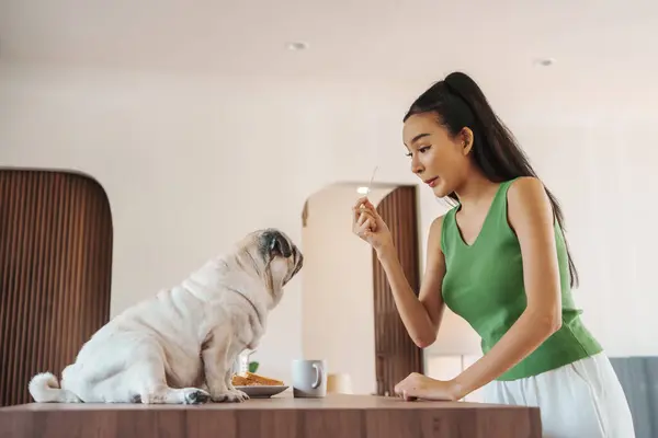 Yeşil Tişörtlü Genç Bir Asyalı Kadın Evde Bir Pug Köpeğiyle Stok Resim