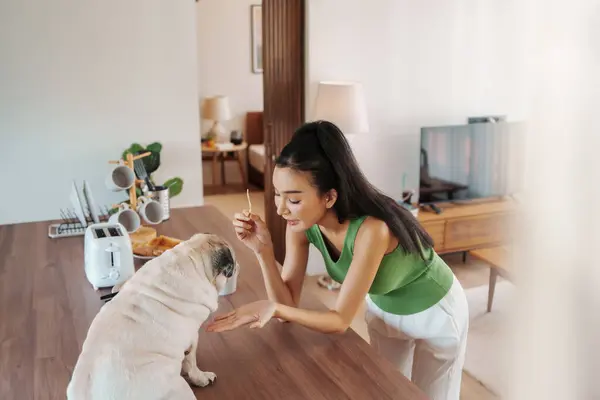 Canlı Yeşil Bir Akvaryumda Özenli Bir Asyalı Kadın Köpeğiyle Modern Telifsiz Stok Imajlar